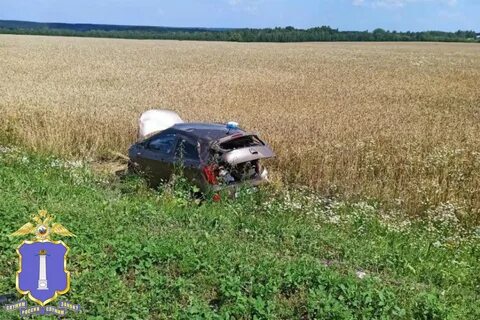 Подоляка 23.07 2024