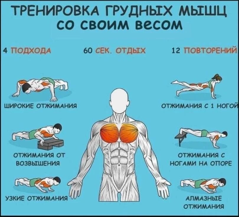 Упражнения на грудные в домашних условиях. Тренировка груди. Тренировка груди со своим весом. Упражнения на грудные мышцы с собственным весом. Упражнения на грудные мышцы со своим весом.