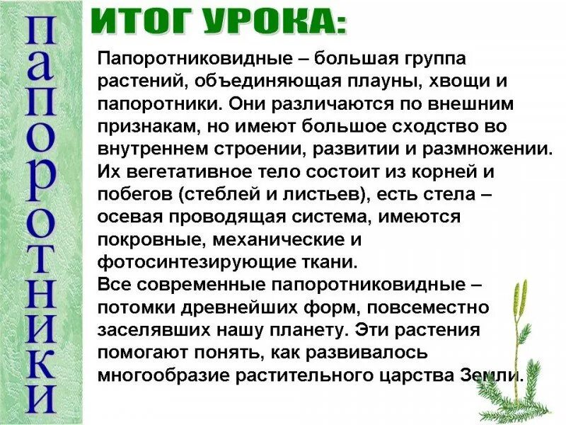 Плауны хвощи папоротники 6 класс биология. Плауны хвощи папоротники 6 класс. Мхи, хвощи папоротник 6 класс биология. Общая характеристика плауны хвощи папоротники 6 класс. Характеристика плаунов 6 класс