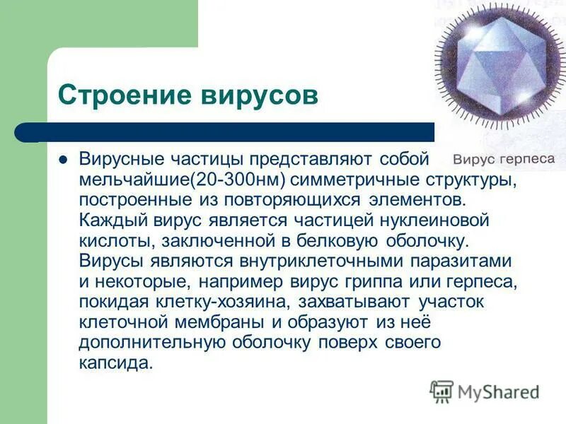 вакцинирование от гриппа. инкубационный период коронавируса. вирус каждый год. прививки против гриппа проводят. вирус каждый год.