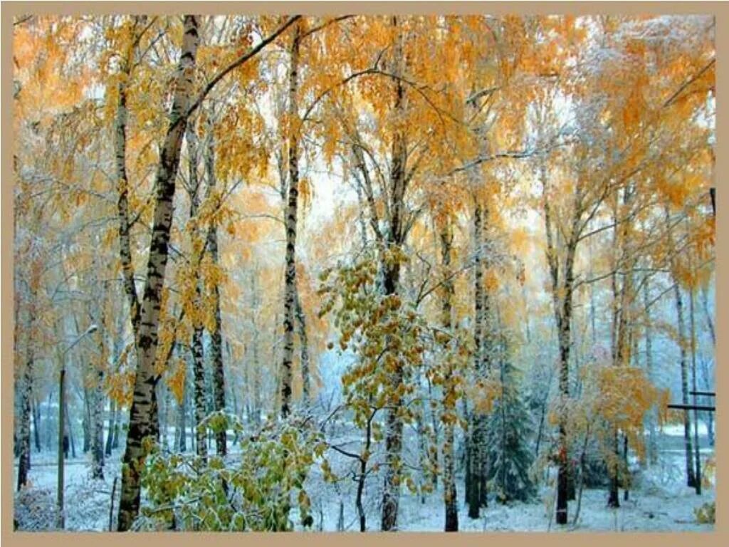 первый снег. стихи про позднюю осень. поздняя осень. первый осенний снег стихи. осень первый снег.