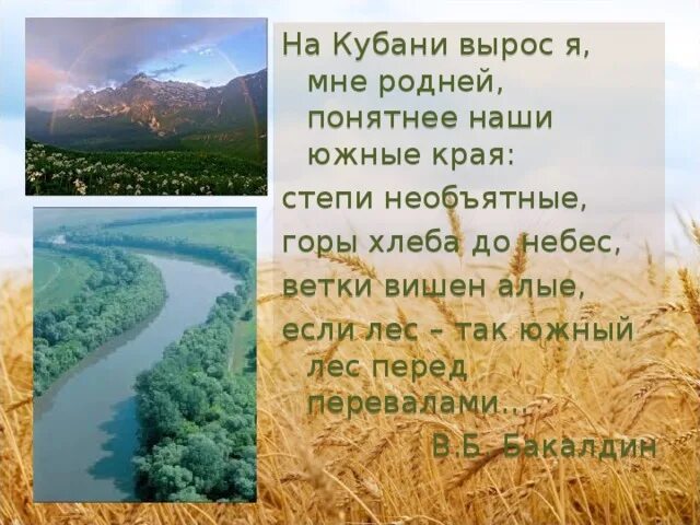 Стих про Кубань. Стихи о Кубани для детей. Стих про Кубань 1 класс. Стихи про Кубань короткие. Южный край текст