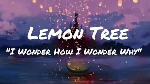 I wonder text