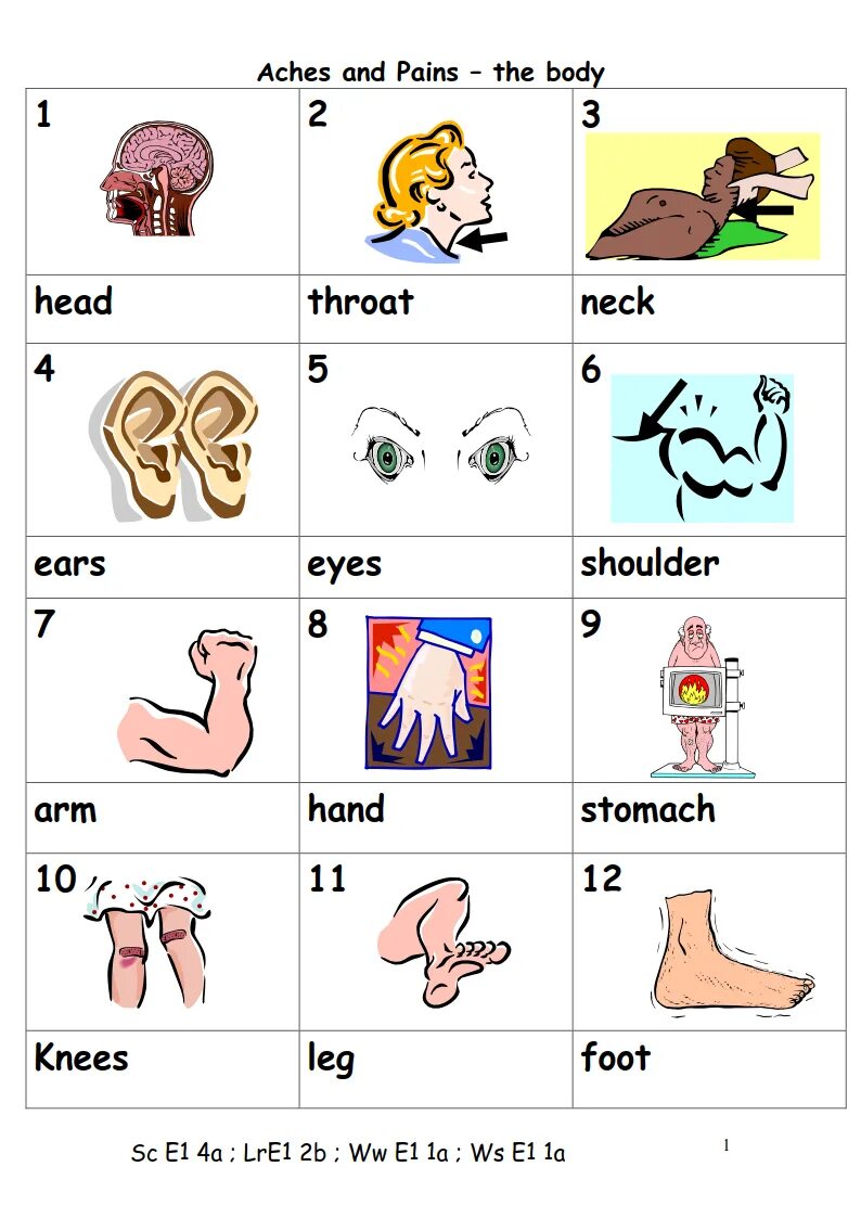 Боль на английском языке. Ache Worksheets. Medicine Worksheets for Kids. Illnesses Worksheets. Aches and Pains Vocabulary.