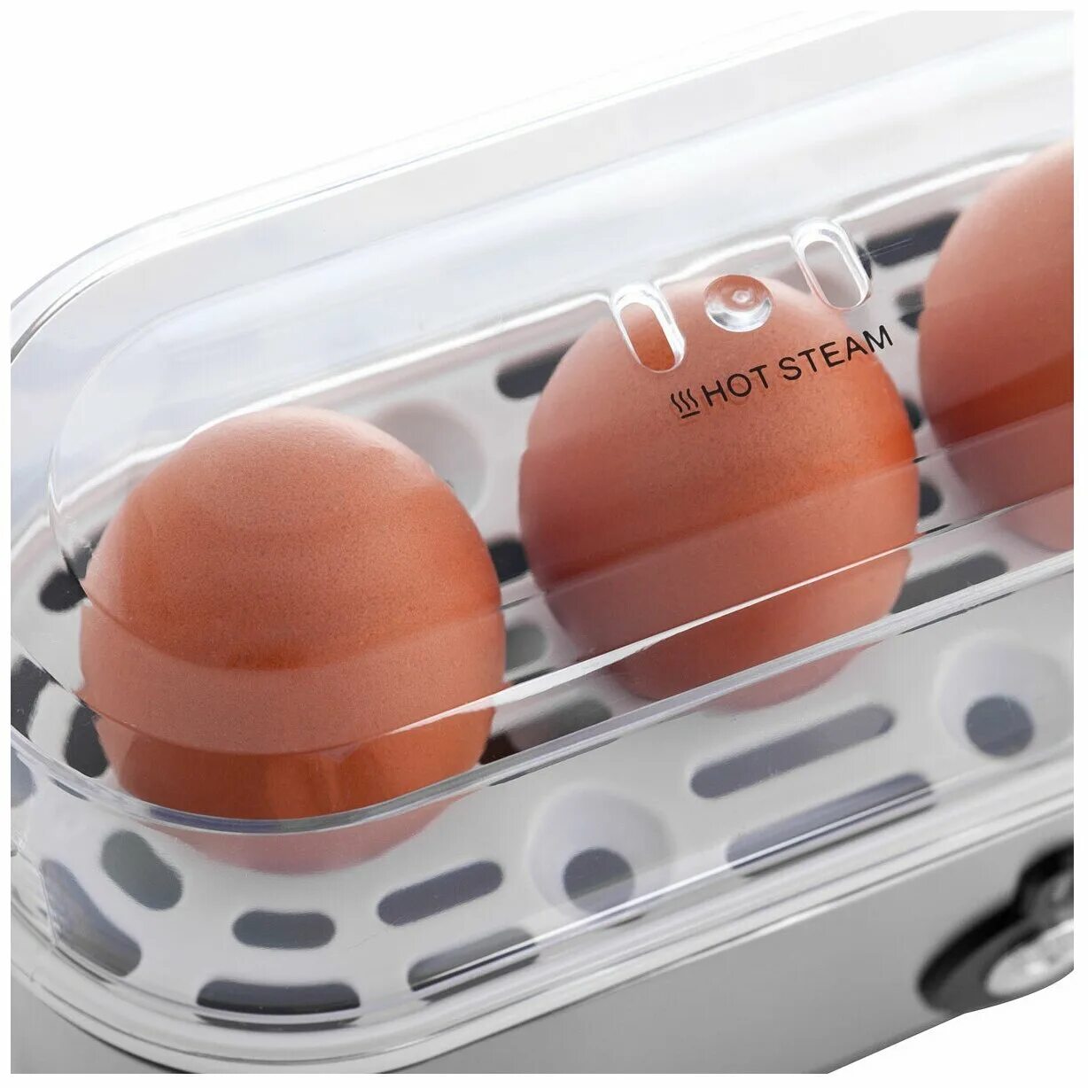 Egg heats