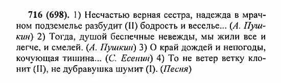 Русский язык 5 класс Разумовская. Упражнение 716 по русскому языку. Русский язык 5 класс номер 716.