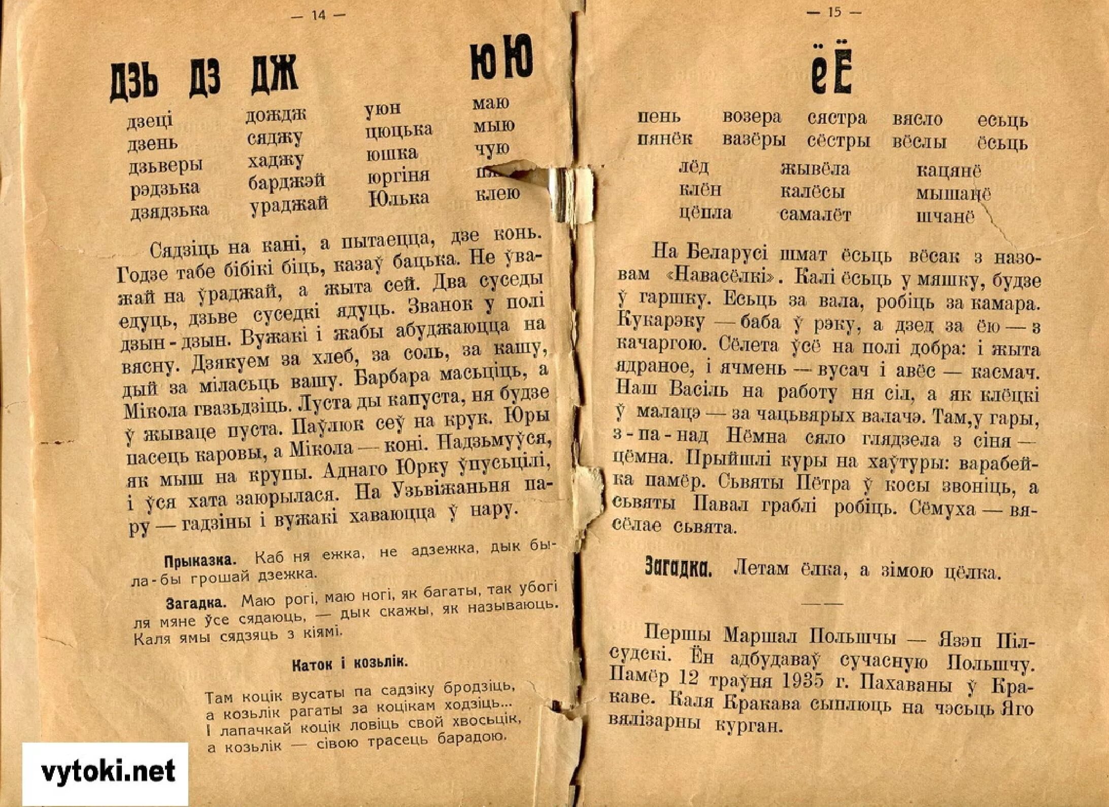 Первые в роду читать в дзене