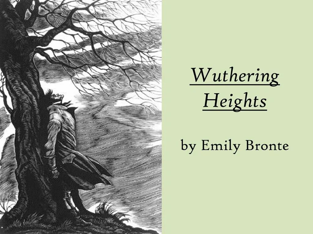 Башня невзгод wuthering waves как открыть. Emily bronte wuthering heights. wuthering heights book. wuthering heights by emily brontë, 1847. wuthering heights book cover.