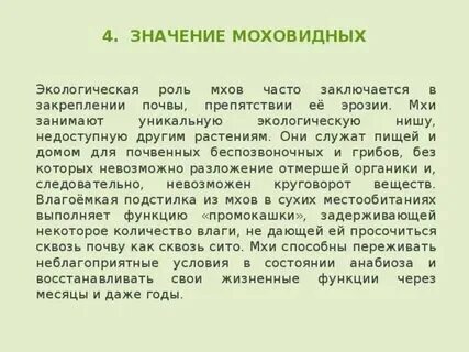 В экосистемах положительная роль мхов заключается