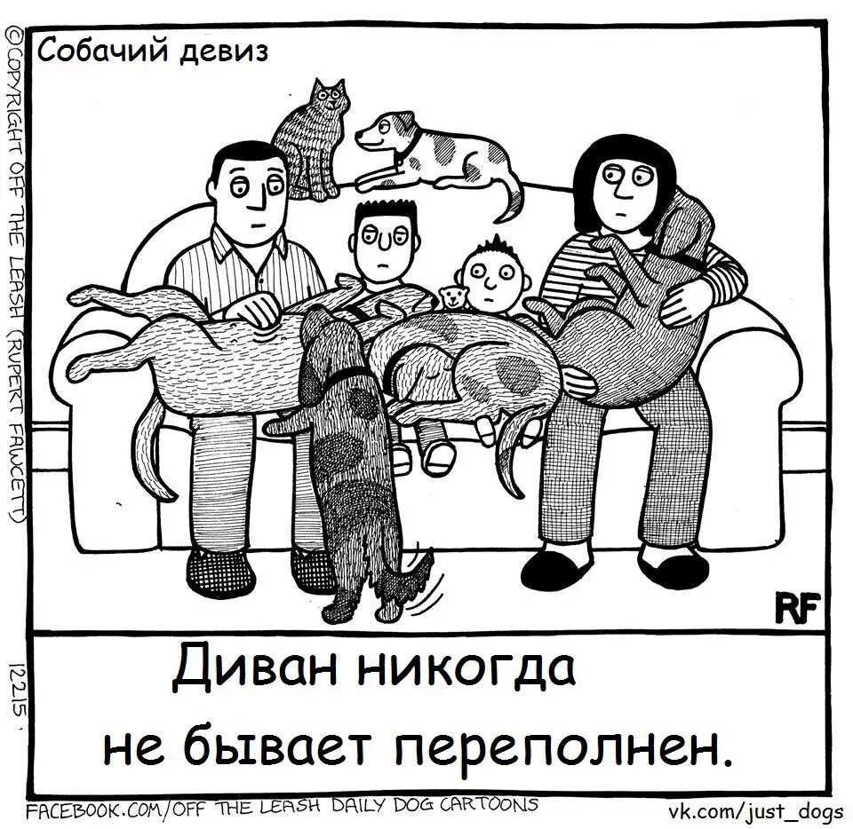 Девиз собак. Лозунги с собакою. Девиз собак. Высказывания о собаках. Девиз собак.