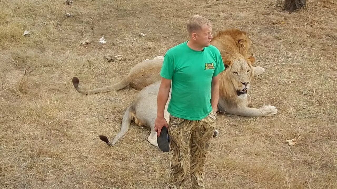 Тайган с олегом зубковым. Тайган с олегом зубковым. Тайган с олегом зубковым. Тайган с олегом зубковым. Хозяин парка тайган.