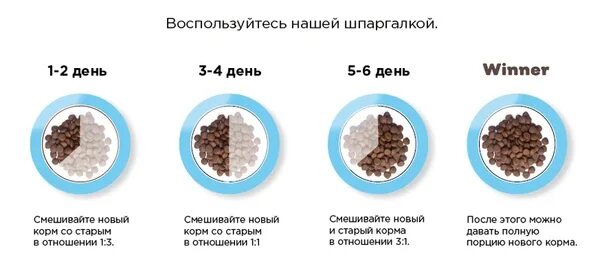 Как правильно перевести собаку на сухой корм