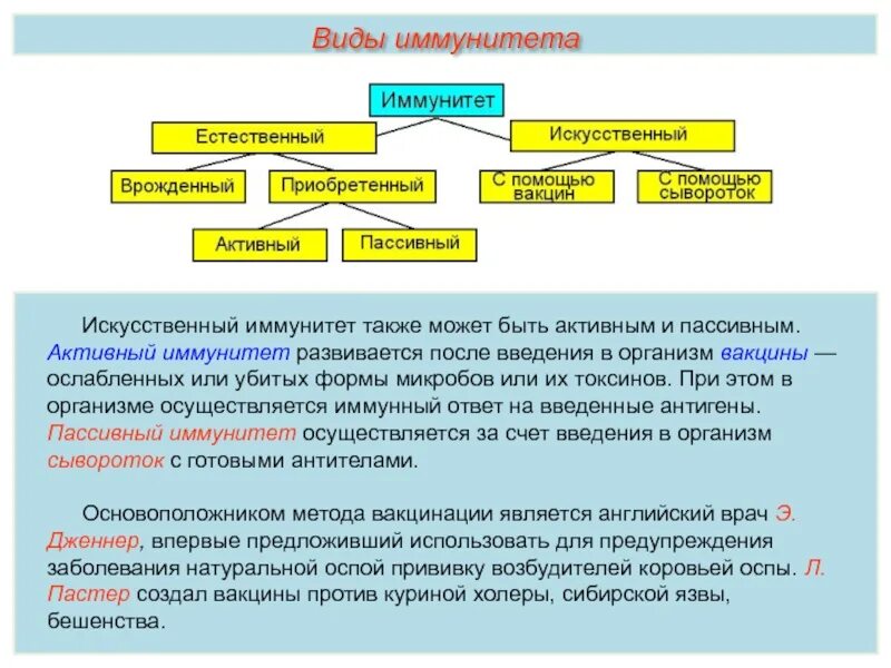 Какой иммунитет вырабатывается при введении вакцины. Искусственный пассивный иммунитет вырабатывается после введения. активный и пассивынй иму. искусственный иммунитет. искусственный активный иммунитет формируется после.