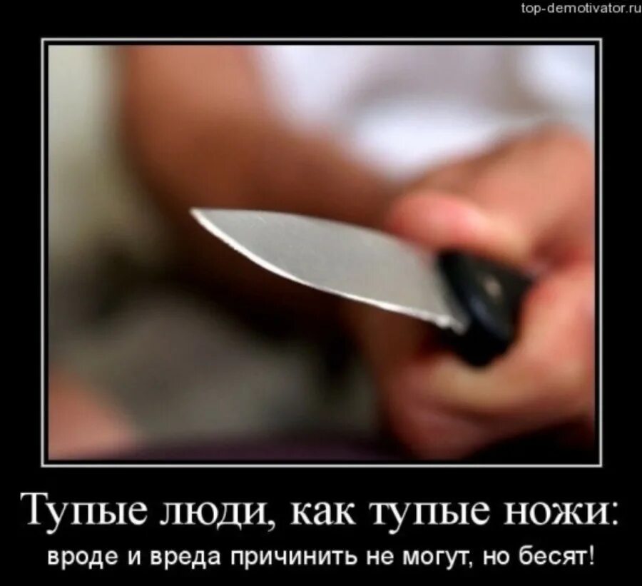 Как раз и можно получить. Афоризмы о ножах. Высказывания про нож. Цитаты про нож. Смешные шутки про ножи.