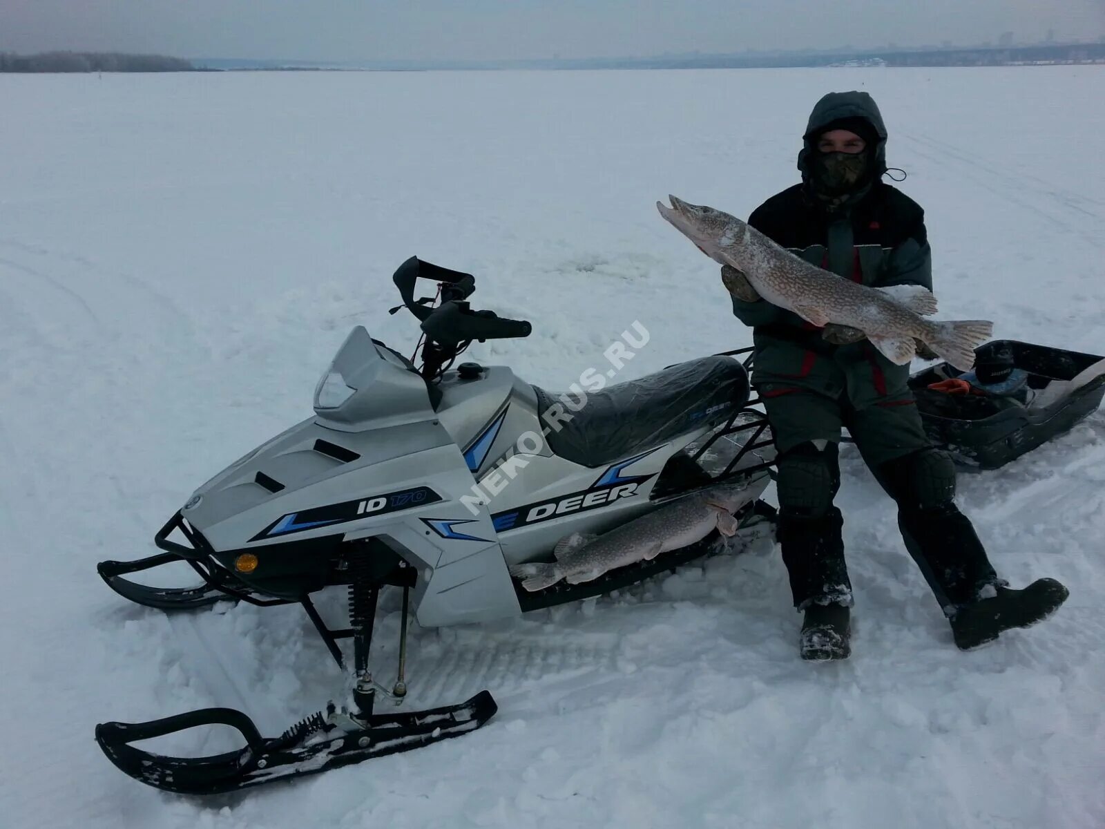 Снегоход айс. Снегоход IDC 170. Айс Дир 170 снегоход. Ice Deer IDC 170. Снегоход 170 кубов AIC Deer.