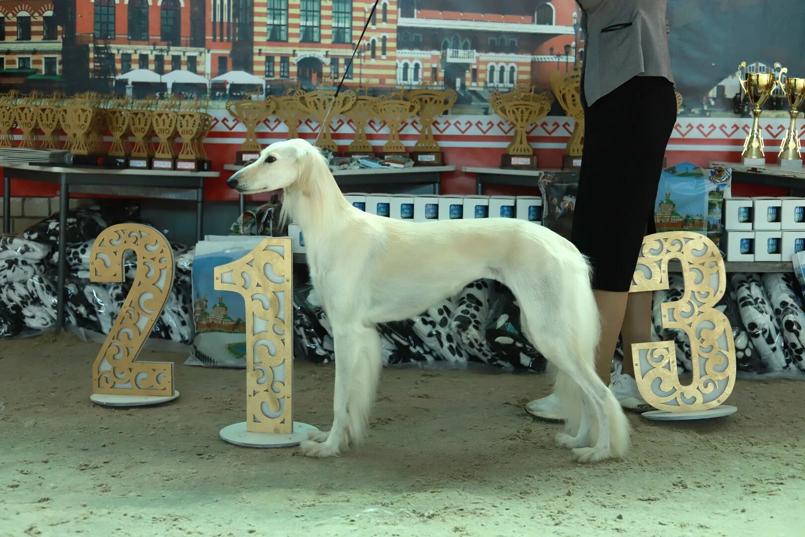 Выставки собак марий эл. Выставка собак в йошкар оле. Выставка собак в йошкар оле. Кинологическая собака юмор. На выставке собак.