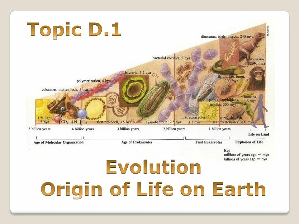 Topic d. The Origin of Life on Earth. Evolution of Life on Earth. Life on Land. Life on Land 15.