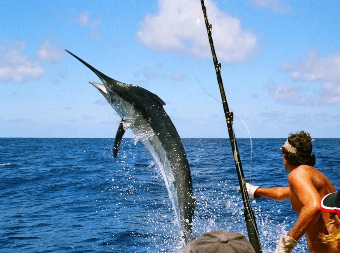 Рыбалка на море на спиннинг