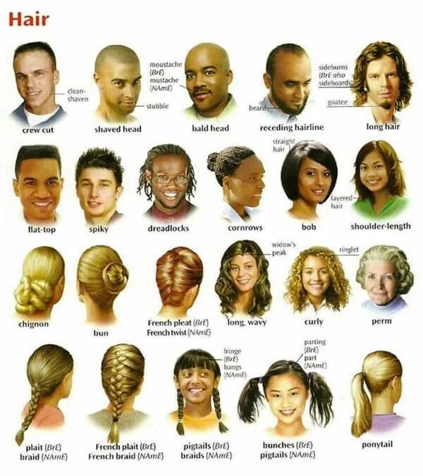 Hair description Hair color, Hair pictures, Vocabulary
