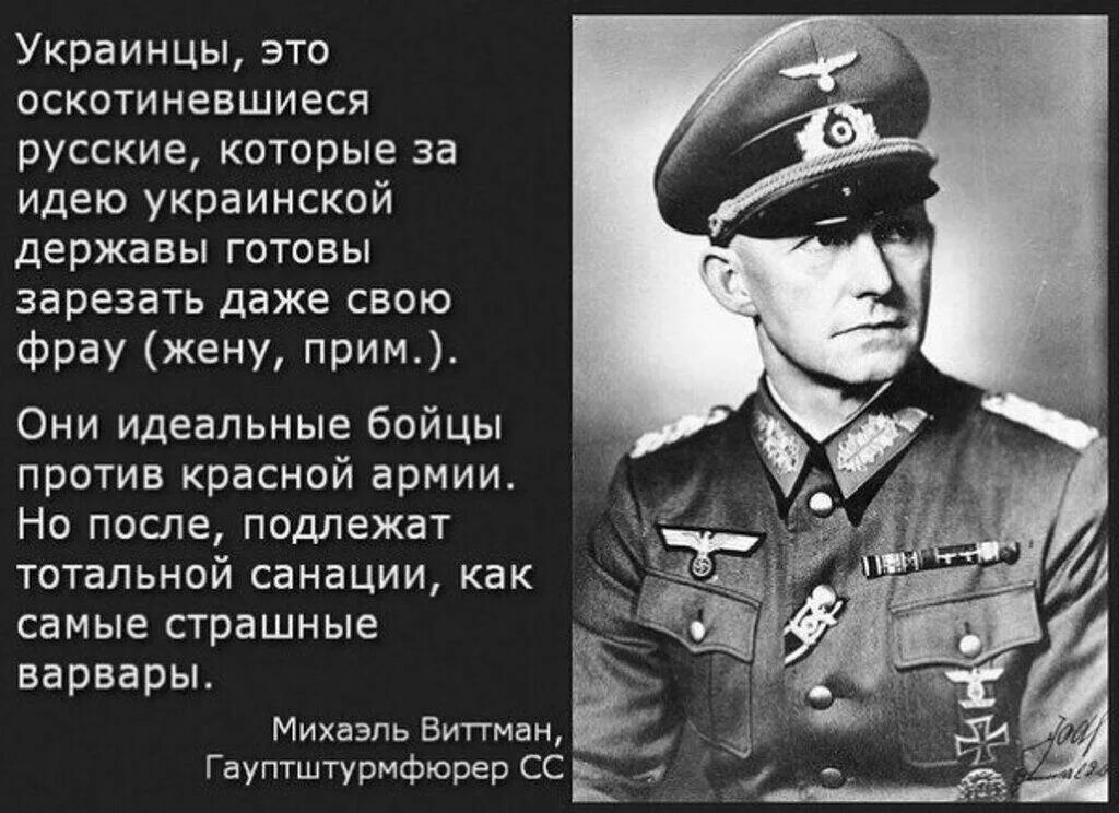 Готова ли русская армия к войне цитаты. Михаэль Виттман об украинцах. Михаэль Виттманн про украинцев. Немец о украинцах Михаэль Виттман. Высказывания о бандеровцах.