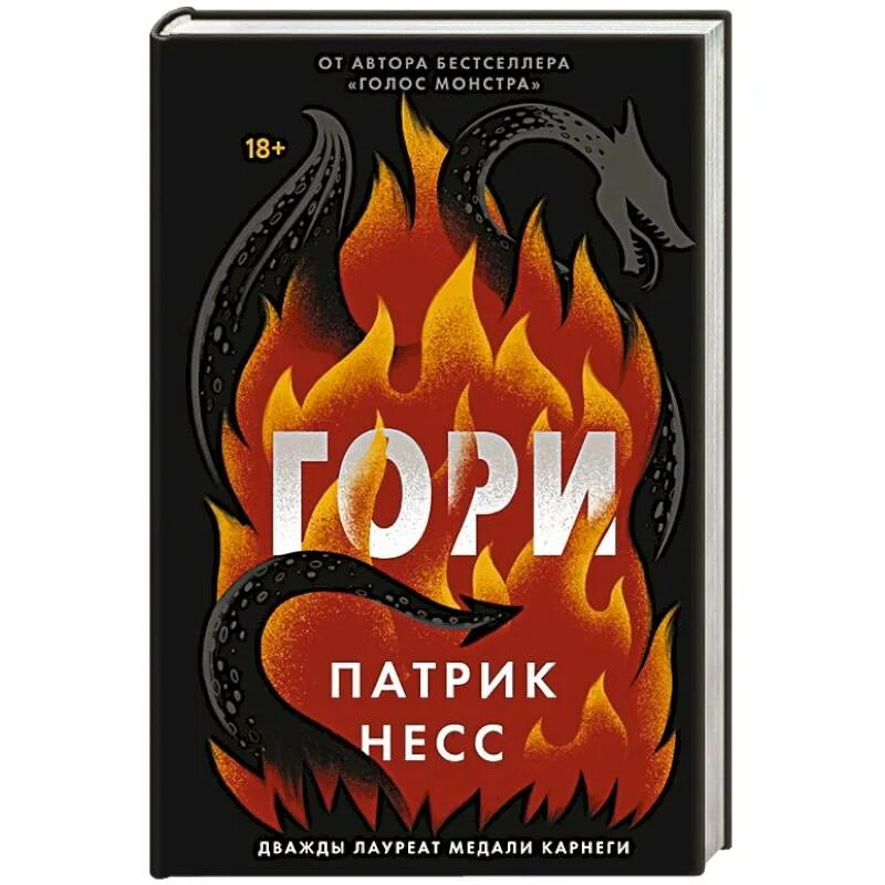 Книги по горю. Горящие книги. книга гори. книга горит. кто автор книги гори.