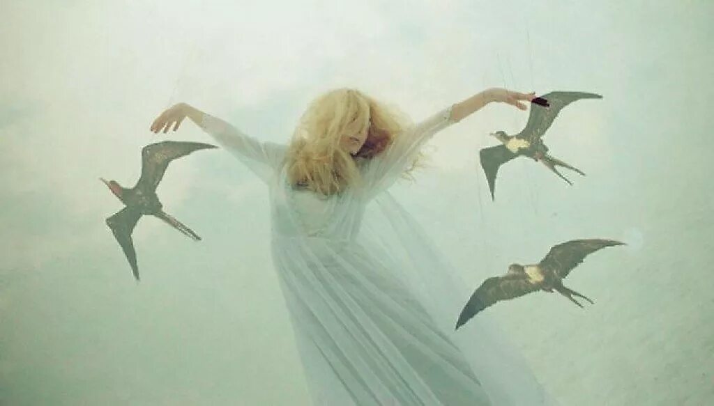 Песни там ангелов. Девушка с крыльями птицы. Птица в полете. Птица взлетает. Парящая птица.