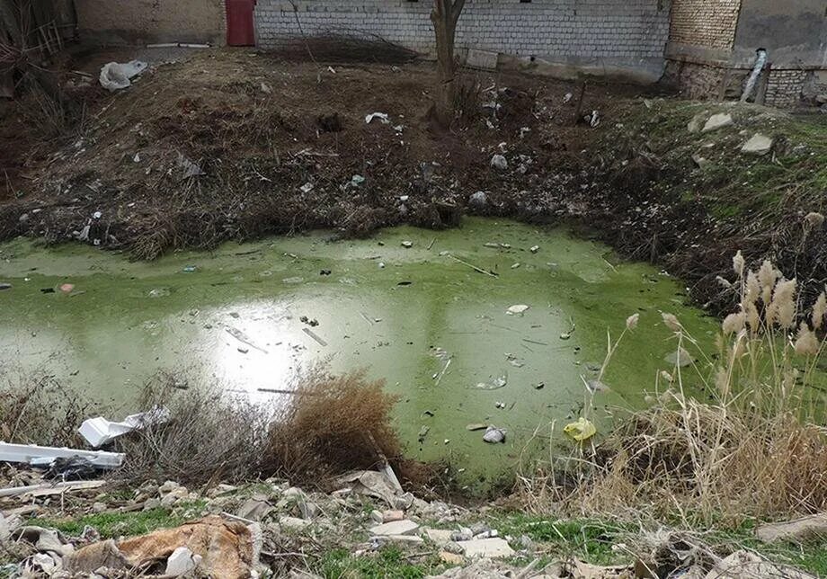 Грязный водоем. Грязная вода в болоте. Тухлая вода.