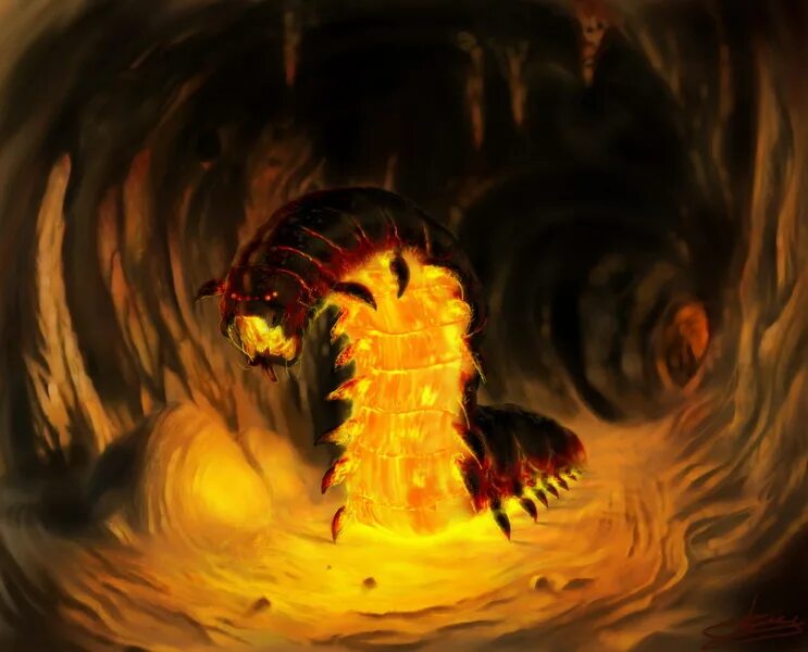 полихета нереис. огнёвка червь. огненный червь. огненный червь. морские многощетинковые черви.