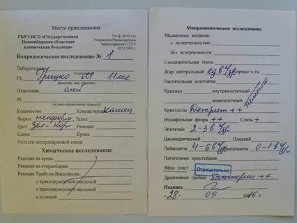 Копрология что это за анализ