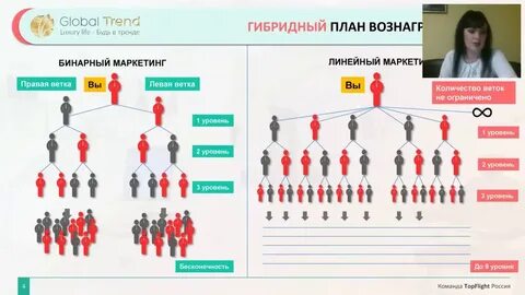 Организация тренд