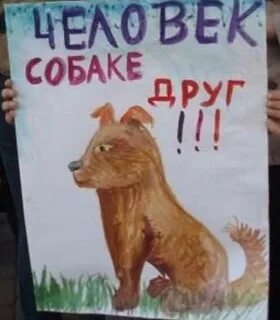 Общества защиты бездомных животных