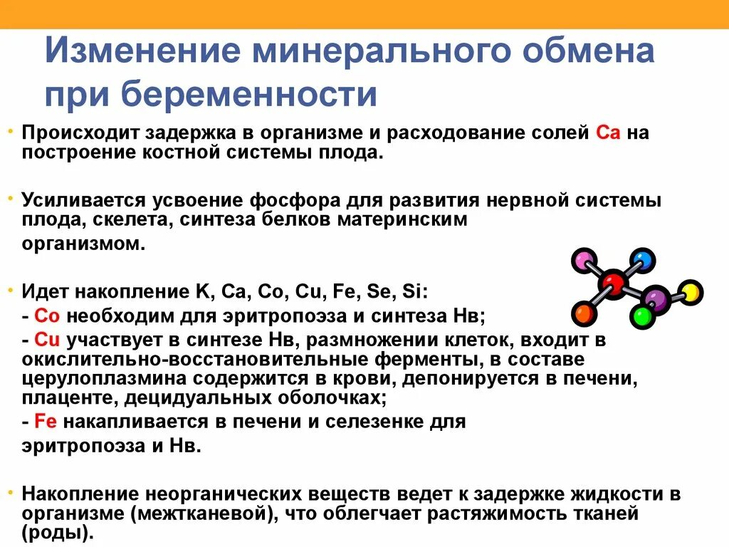 Изменение организма во время беременности. Изменения в организме беременной. Изменения происходящие при беременности. Изменения водного обмена при беременности. Обмен веществ у беременной женщины.