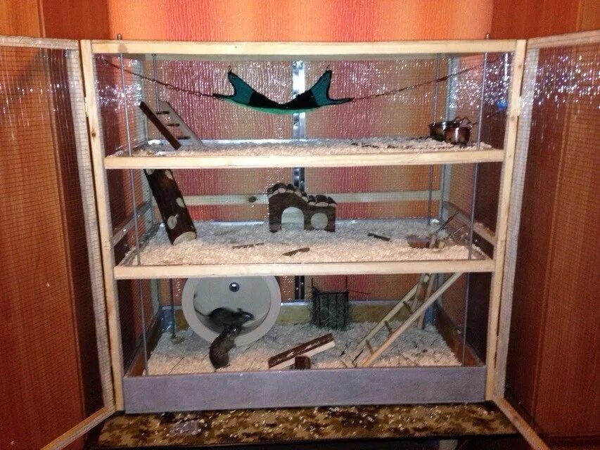 клетка для шиншиллы. клетка витрина для животных. сделать полки в клетку. сделать полки в клетку. самодельная клетка для крыс.