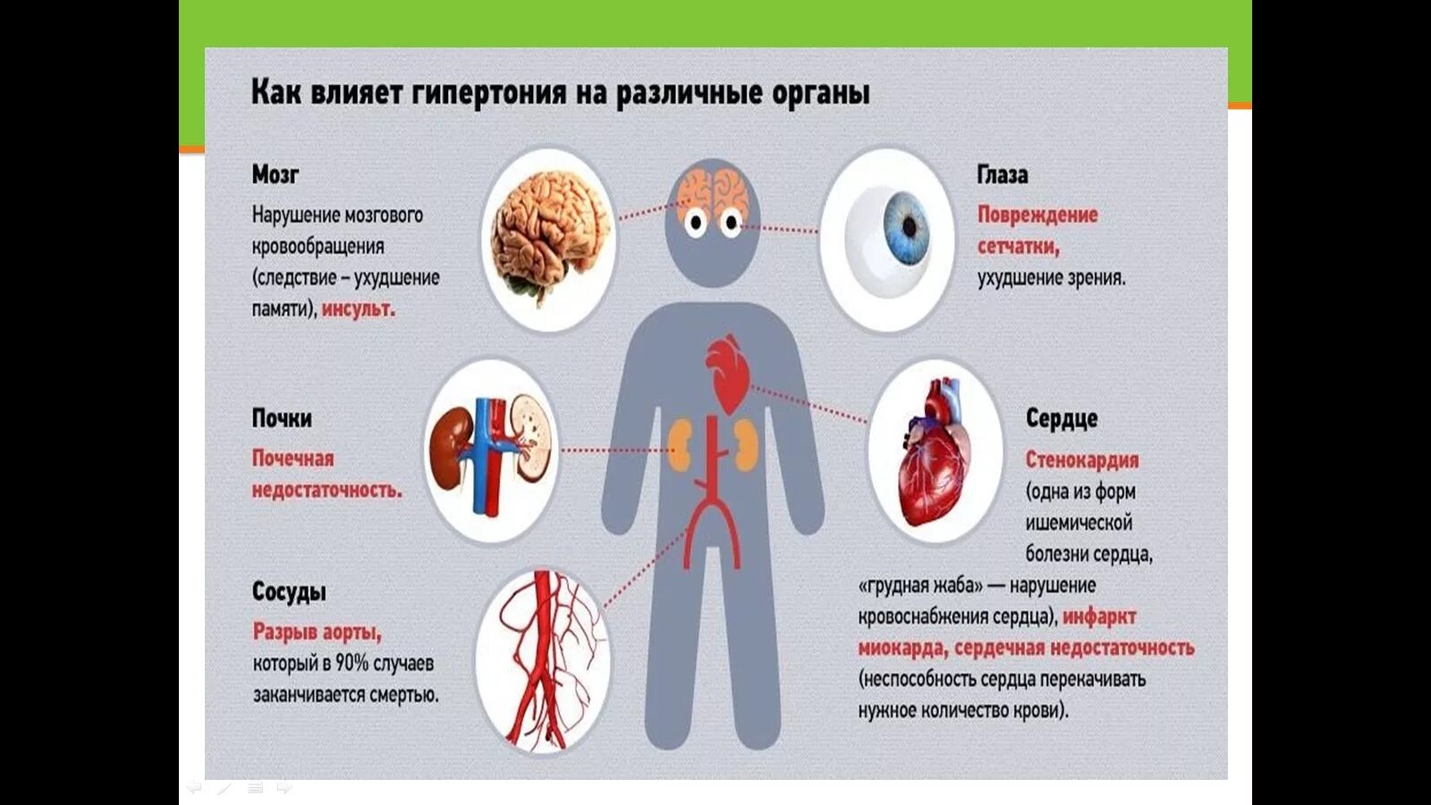 Какие болезни понижают. Питание при гипертонии. Питание при артериальной гипертензии. Диета для пациентов с артериальной гипертонией. Диета при артериальном давлении.