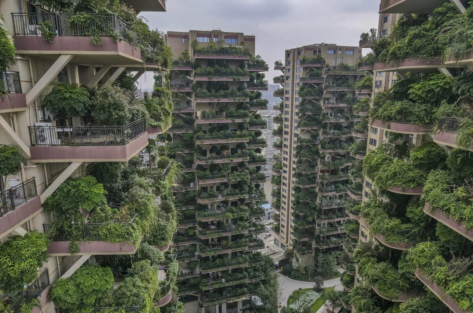 Сити Форест Гарден Китай Чэнду. Небоскребы Bosco verticale («вертикальный лес»). Сингапур Экогород. Экогород Китай Чэнду.