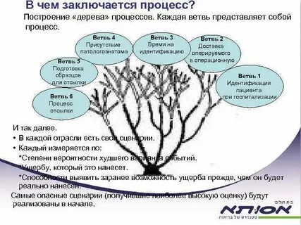 Идеал том 1 ветки
