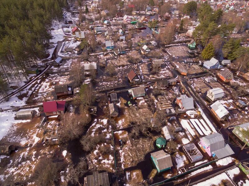 Разлив реки ворон в Кадуе в 2021. Разлив вороны. Затопило Кадуй. Подслушано в Кадуе Вологодской области.