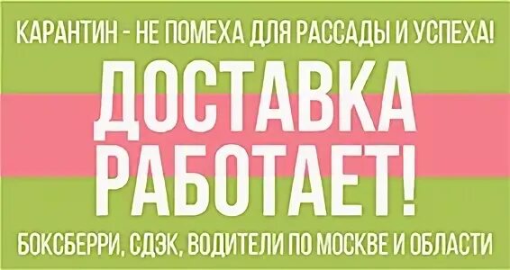 7я Маркет Иваново интернет. 7я Маркет. 7я маркет иваново