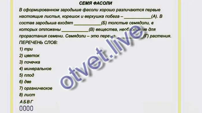 Семя фасоли в сформированном зародыше фасоли хорошо