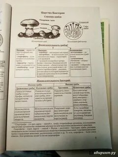 Биология в таблицах и схемах