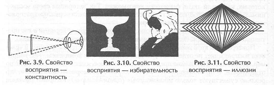 4 этапа восприятия. Целостность и константность восприятия. Константность зрительного восприятия. Визуальное восприятие изображения. Свойства восприятия константность.