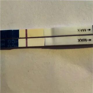 Внизу 16
