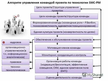 Задачи команды проекта