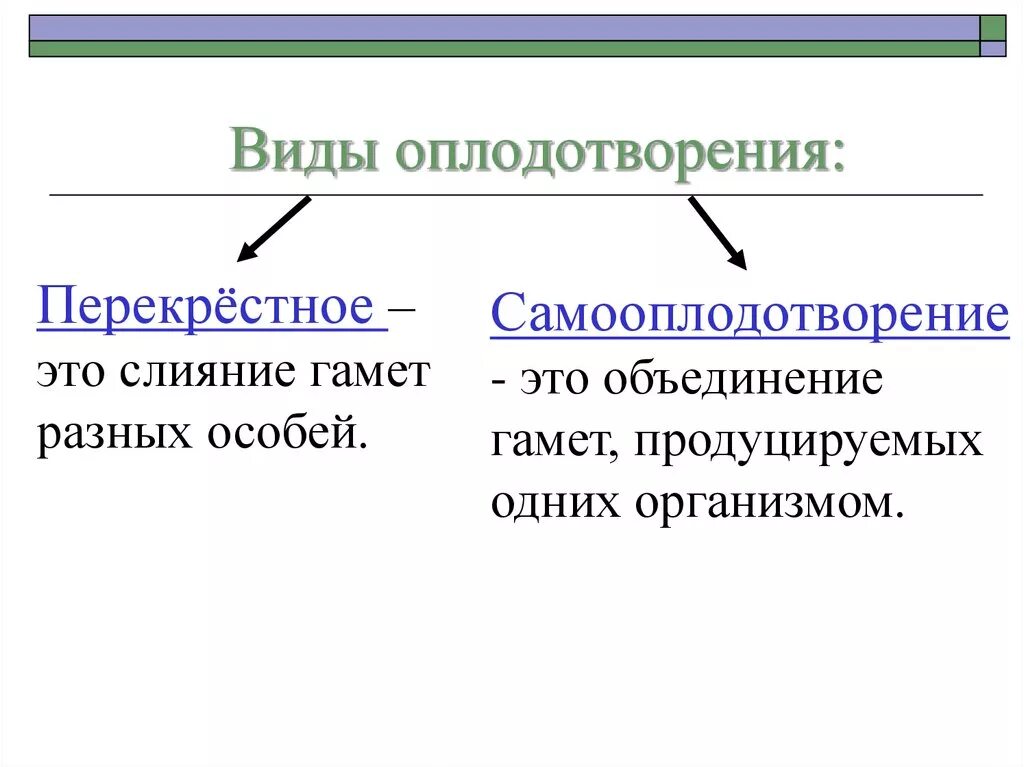 Выберите типы оплодотворения. Внешнее и внутреннее оплодотворение таблица. Типы оплодотворения в биологии 10 класс таблица. Типы оплодотворения в биологии 10 класс. Перекрёстное оплодотворение это в биологии.