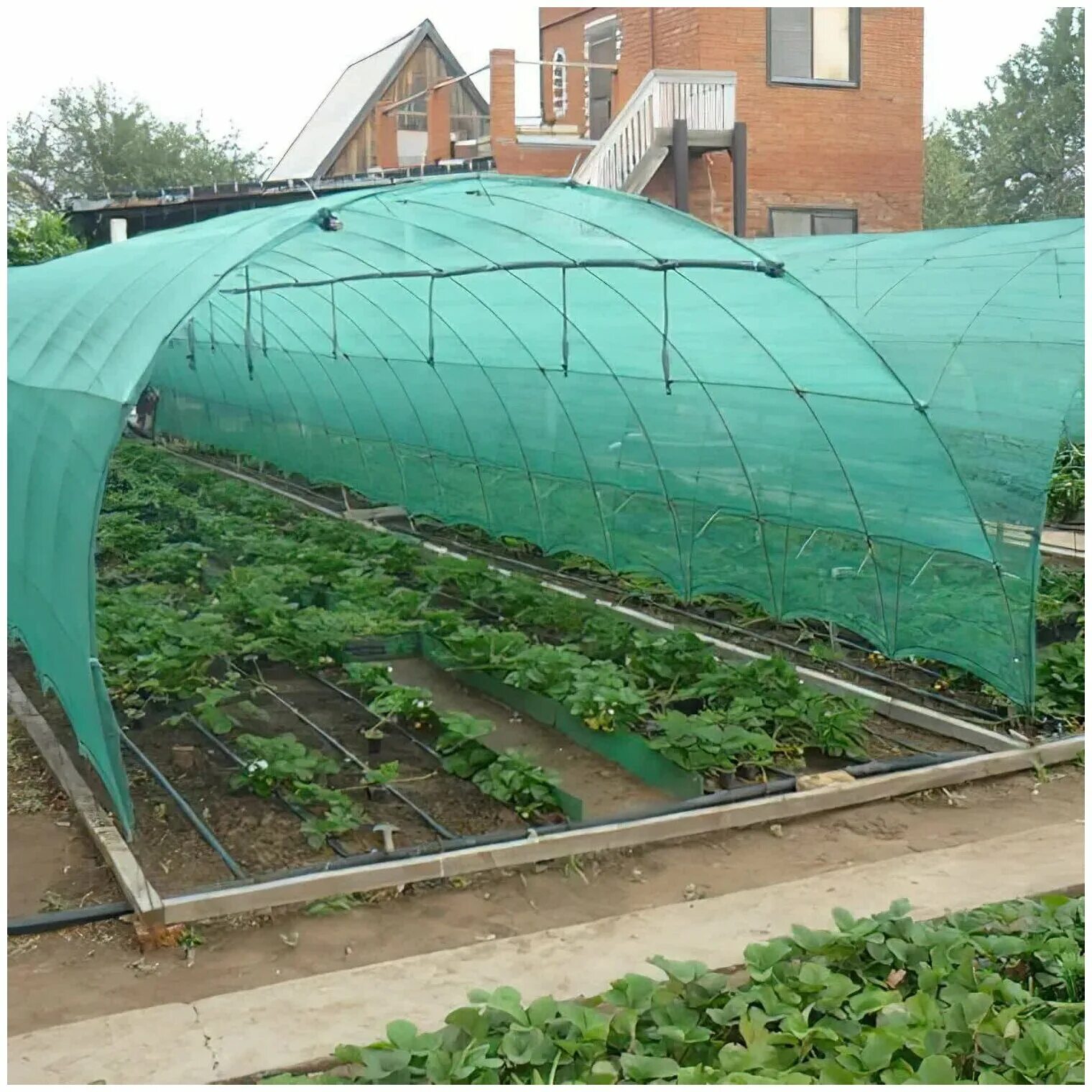 затеняюшая сетка 80% 10*10м. сетка для затенения теплиц. сетка для теплицы. сетка для теплицы. сетка притеняющая 6м 75%.