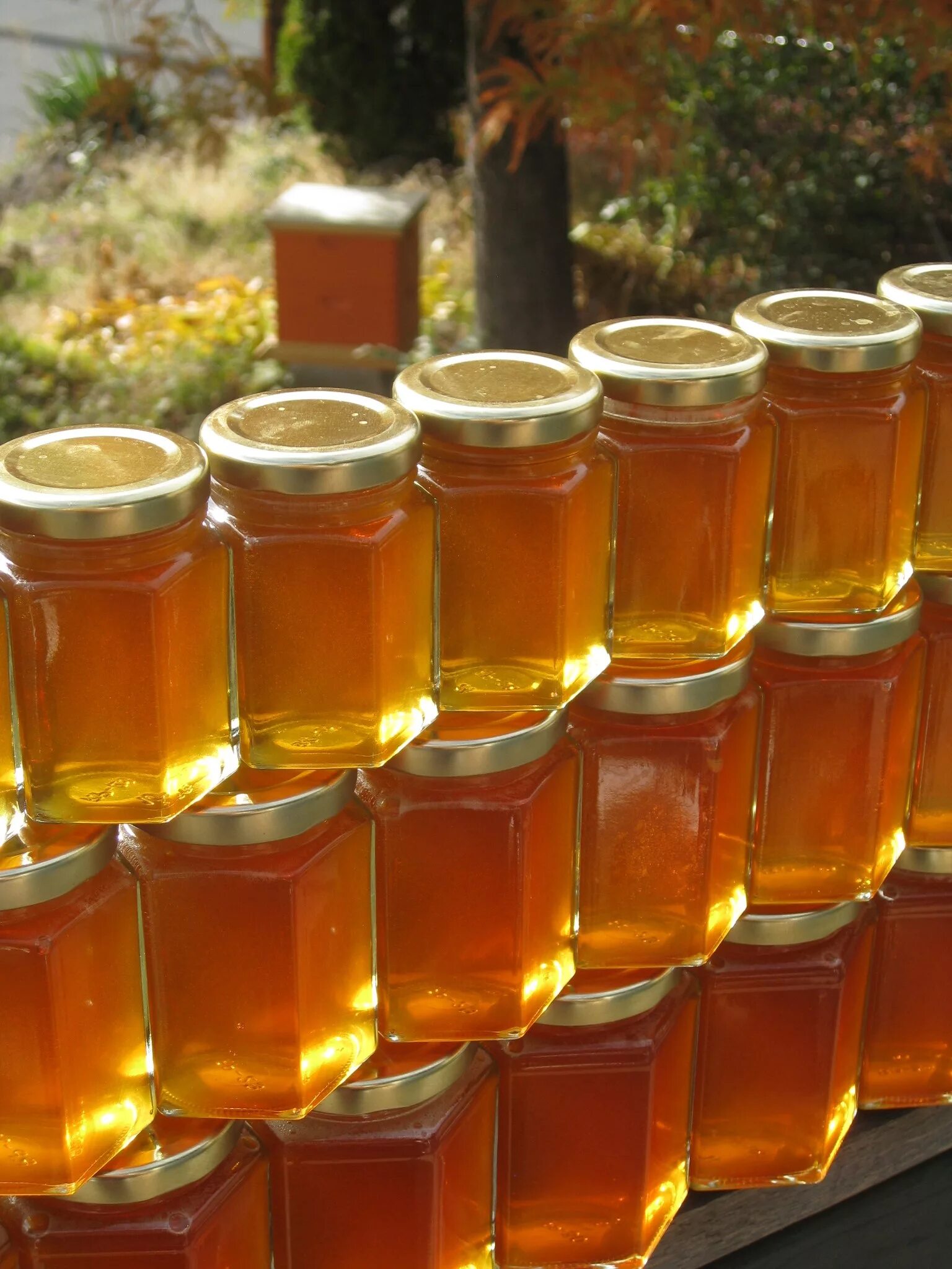 Дыня с медом. Blackberry honey обложка. Медовая рамка. Blackberry honey 18. Honey citron & ginger tea.