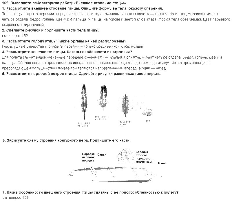 Лабораторная работа номер 6 внешнее строение птиц. Лабораторная работа перья птиц. Лабораторная работа строение птиц. Внешнее строение птиц лабораторная работа 7. Лабораторная работа внешнее строение птиц.