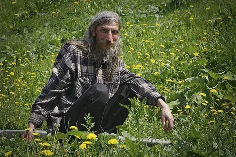Отшельник действия