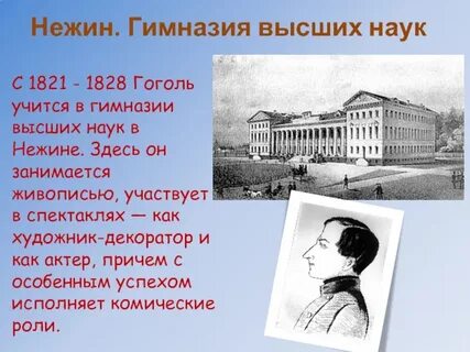 Гимназия высшая