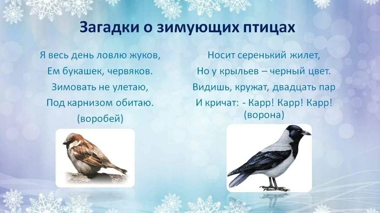 Загадки про птиц 4 года. Загадки про зимующих птиц для детей 4-5. Загадки про зимующие птицы для детей 3 лет. Загадки про зимующих птиц для дошкольников. Загадки про зимних птиц.